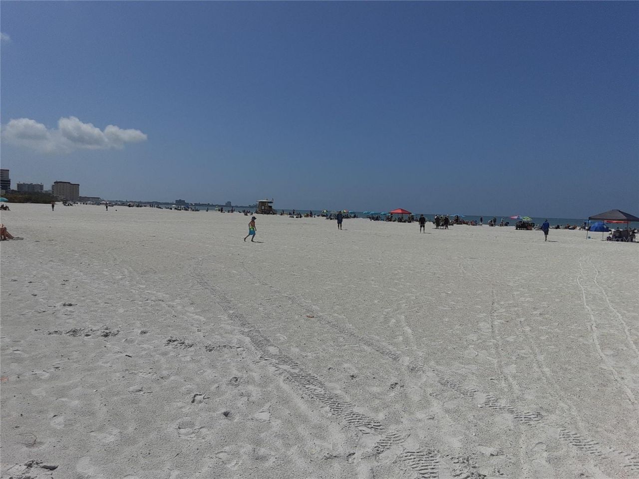 350 S Polk Drive, Unit 207, Sarasota, FL 34236 Photo