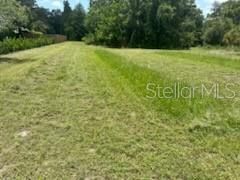 3910 Dunn Drive, Sarasota, FL 34233 Photo