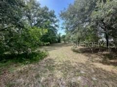 3910 Dunn Drive, Sarasota, FL 34233 Photo