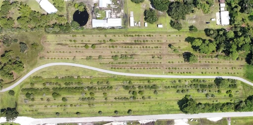 17280 Brenfield Ln, Alva, FL 33920 Photo