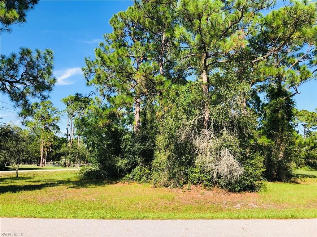 17280 Brenfield Ln, Alva, FL 33920 Photo