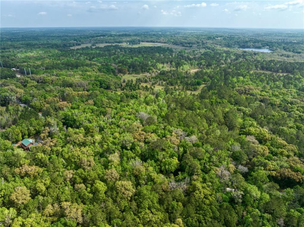 22374 Cortez Boulevard, Brooksville, FL 34601 Photo