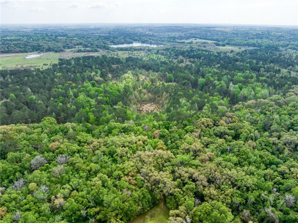 22374 Cortez Boulevard, Brooksville, FL 34601 Photo