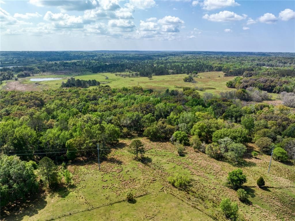 22374 Cortez Boulevard, Brooksville, FL 34601 Photo