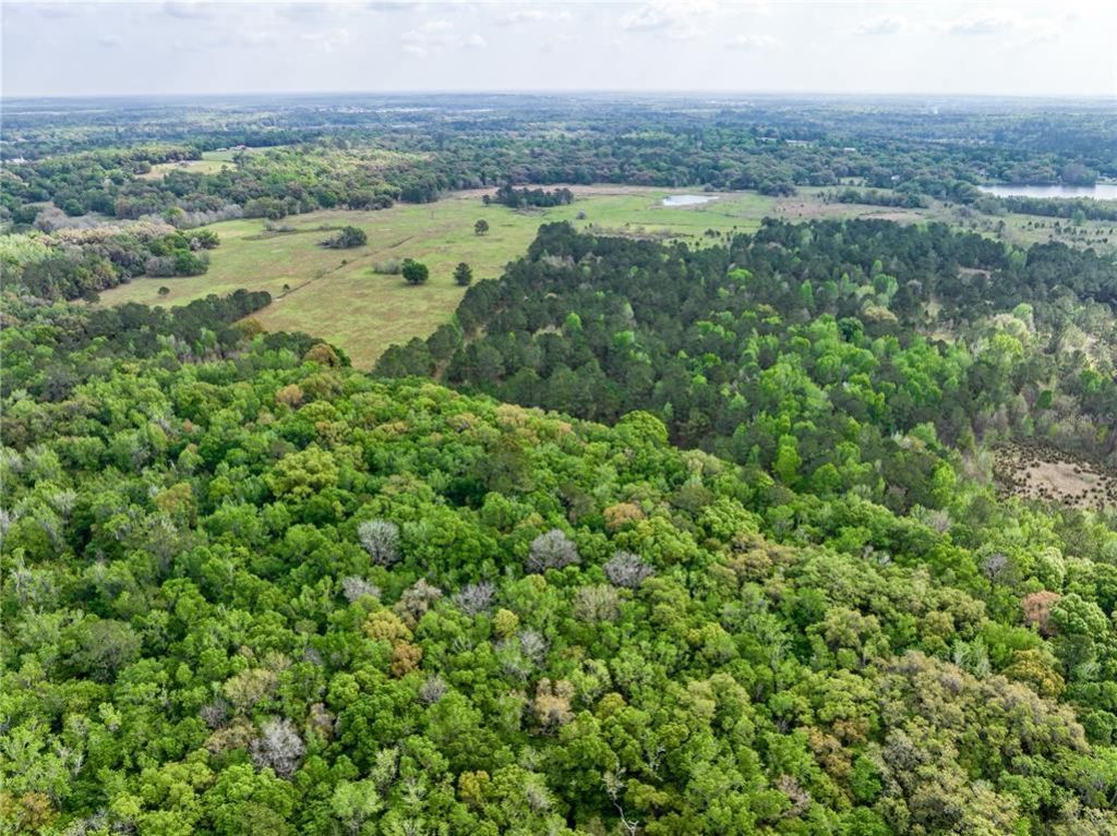 22374 Cortez Boulevard, Brooksville, FL 34601 Photo