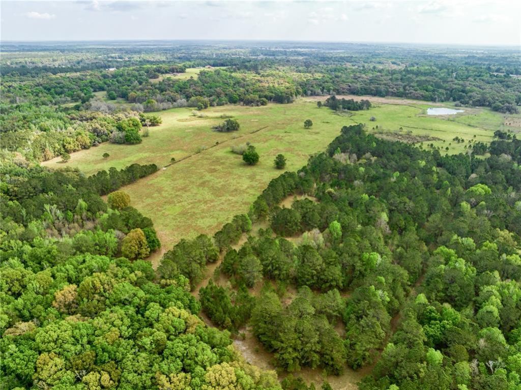 22374 Cortez Boulevard, Brooksville, FL 34601 Photo