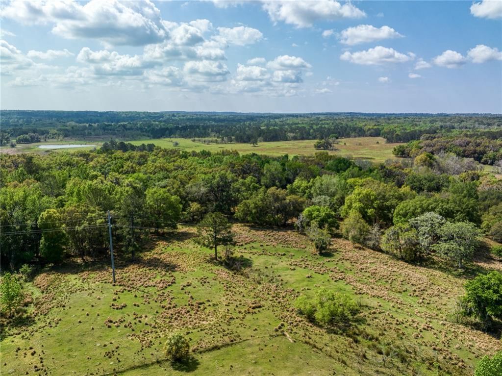 22374 Cortez Boulevard, Brooksville, FL 34601 Photo