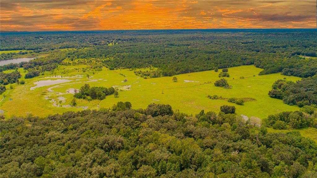 22374 Cortez Boulevard, Brooksville, FL 34601 Photo