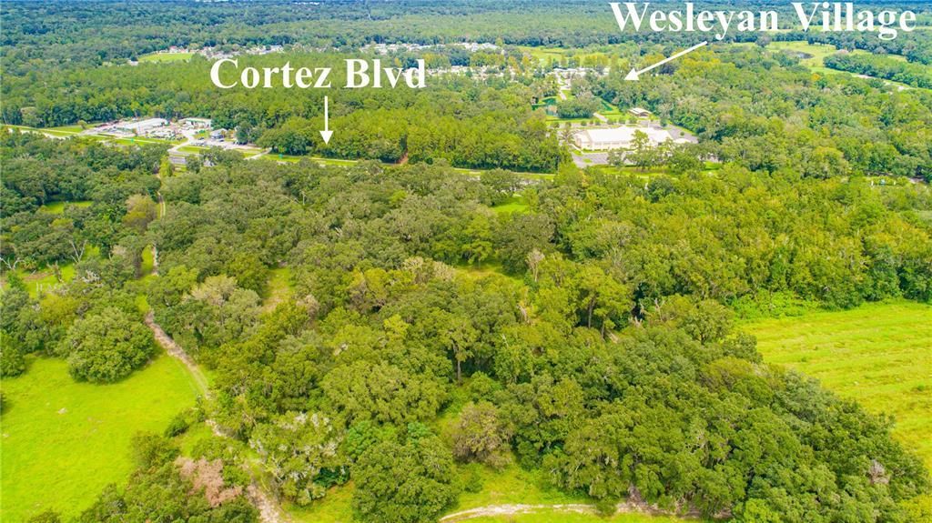 22374 Cortez Boulevard, Brooksville, FL 34601 Photo