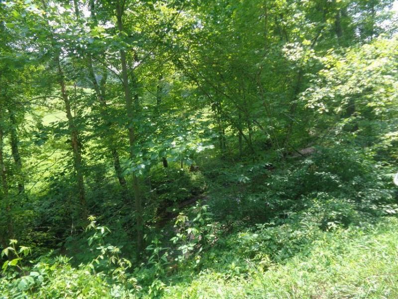 Lot 36 Cliffs Edge Road, East Bernstadt, KY 40729 Main Photo