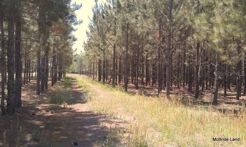 17001 SW Highway 484, Dunnellon, FL 34432 Photo