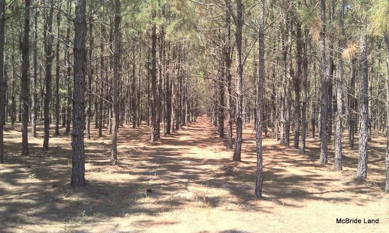 17001 SW Highway 484, Dunnellon, FL 34432 Photo