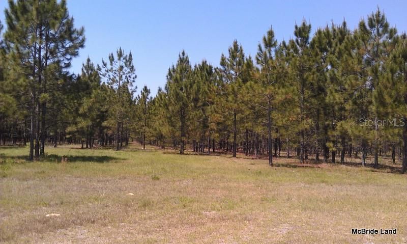 17001 SW Highway 484, Dunnellon, FL 34432 Photo