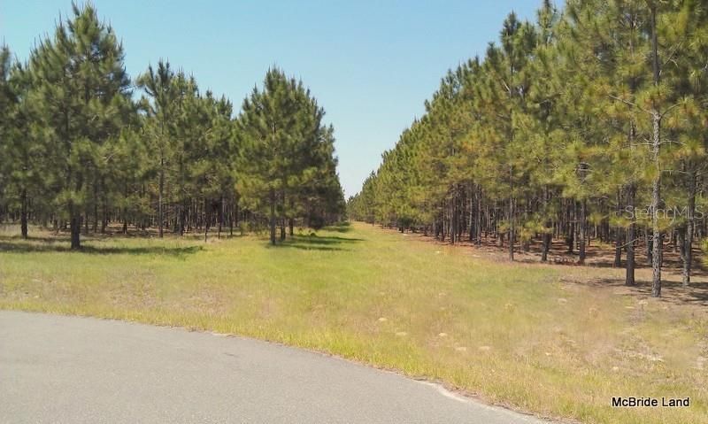 17001 SW Highway 484, Dunnellon, FL 34432 Photo