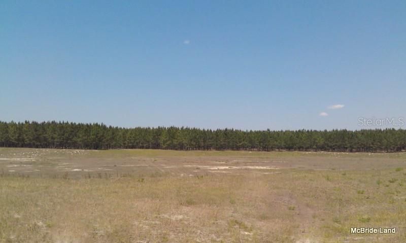 17001 SW Highway 484, Dunnellon, FL 34432 Photo