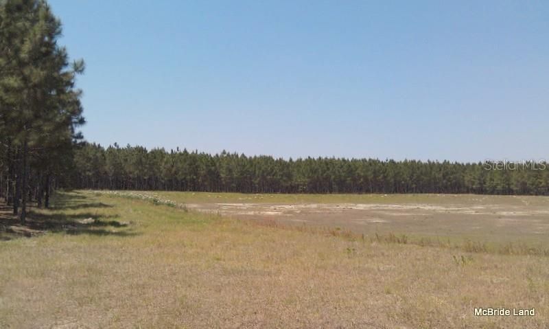 17001 SW Highway 484, Dunnellon, FL 34432 Photo