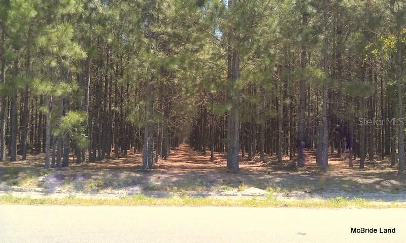 17001 SW Highway 484, Dunnellon, FL 34432 Photo