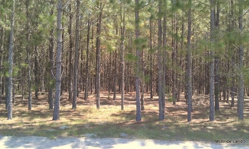 17001 SW Highway 484, Dunnellon, FL 34432 Photo