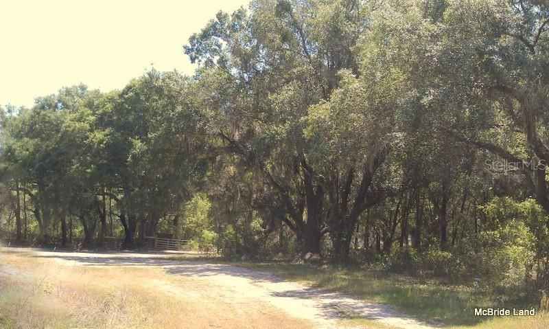 17001 SW Highway 484, Dunnellon, FL 34432 Photo