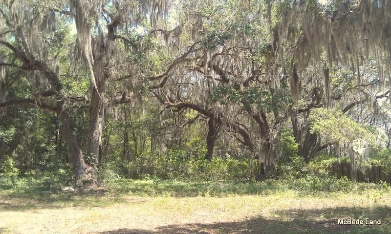 17001 SW Highway 484, Dunnellon, FL 34432 Photo