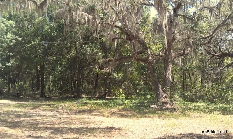 17001 SW Highway 484, Dunnellon, FL 34432 Photo