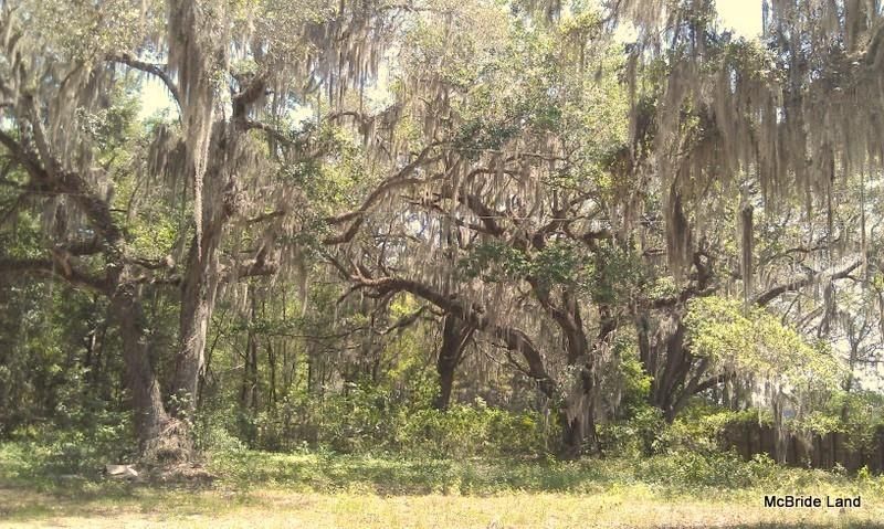 17001 SW Highway 484, Dunnellon, FL 34432 Photo