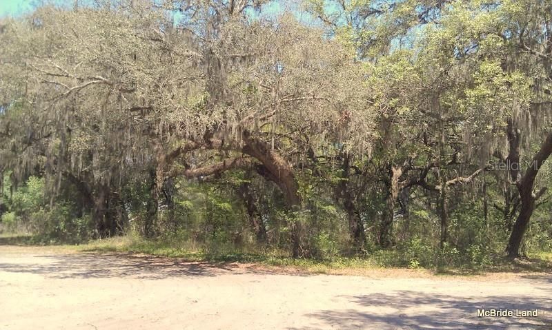 17001 SW Highway 484, Dunnellon, FL 34432 Photo