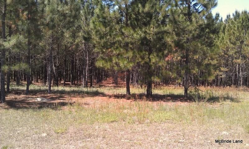 17001 SW Highway 484, Dunnellon, FL 34432 Photo