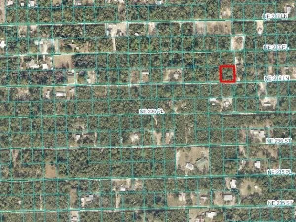 00 SE 236 LANE, FORT MC COY, FL 32134