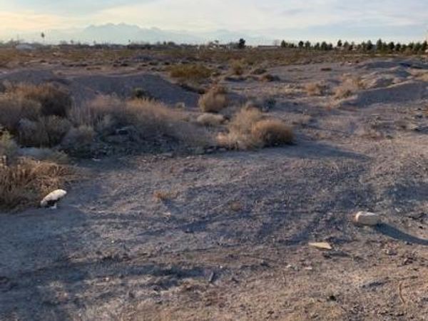 Ward, North Las Vegas, NV 89032