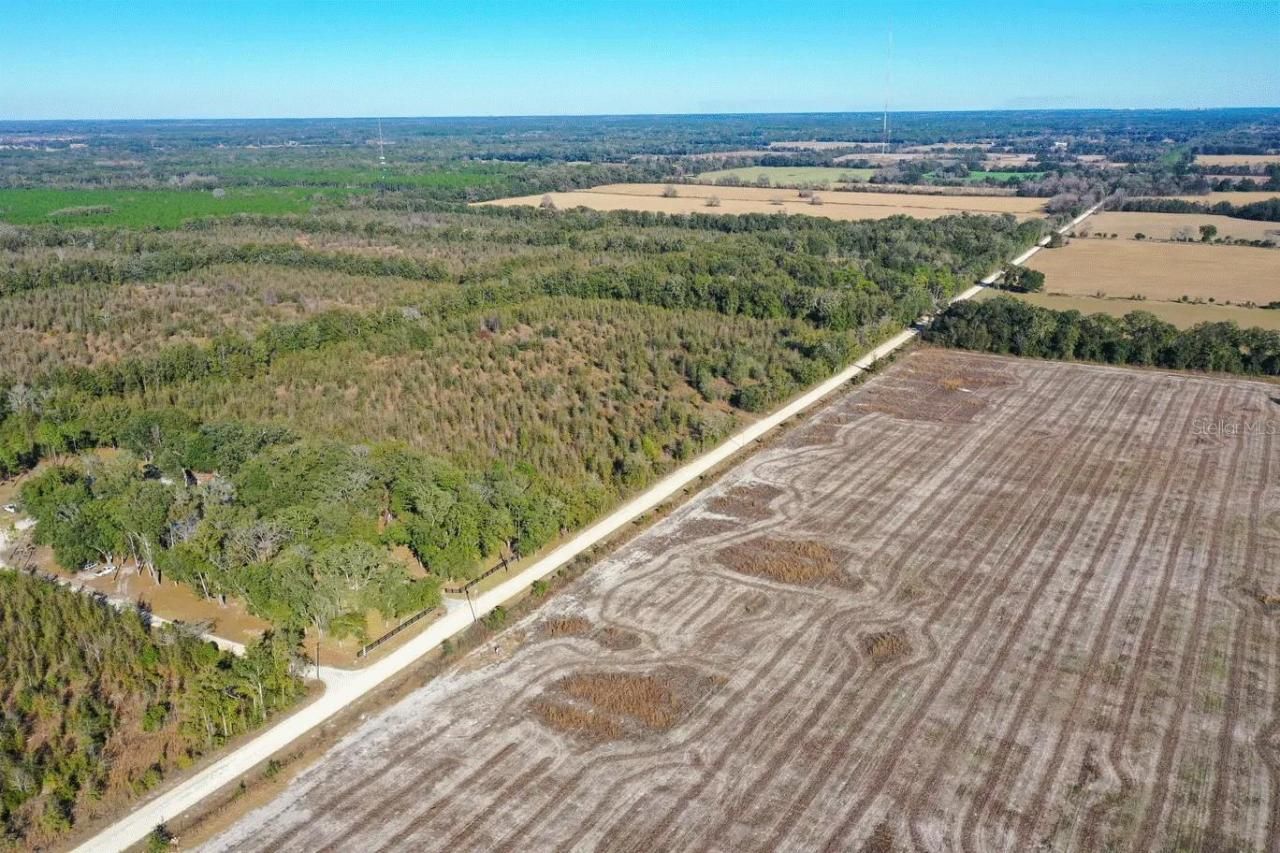 Sw 30th Avenue, Newberry, FL 32669 Photo