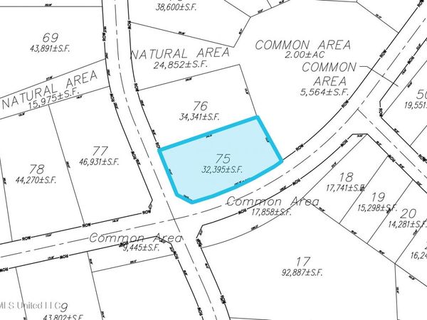 Lot 75 Les Maisons, Flowood, MS 39232