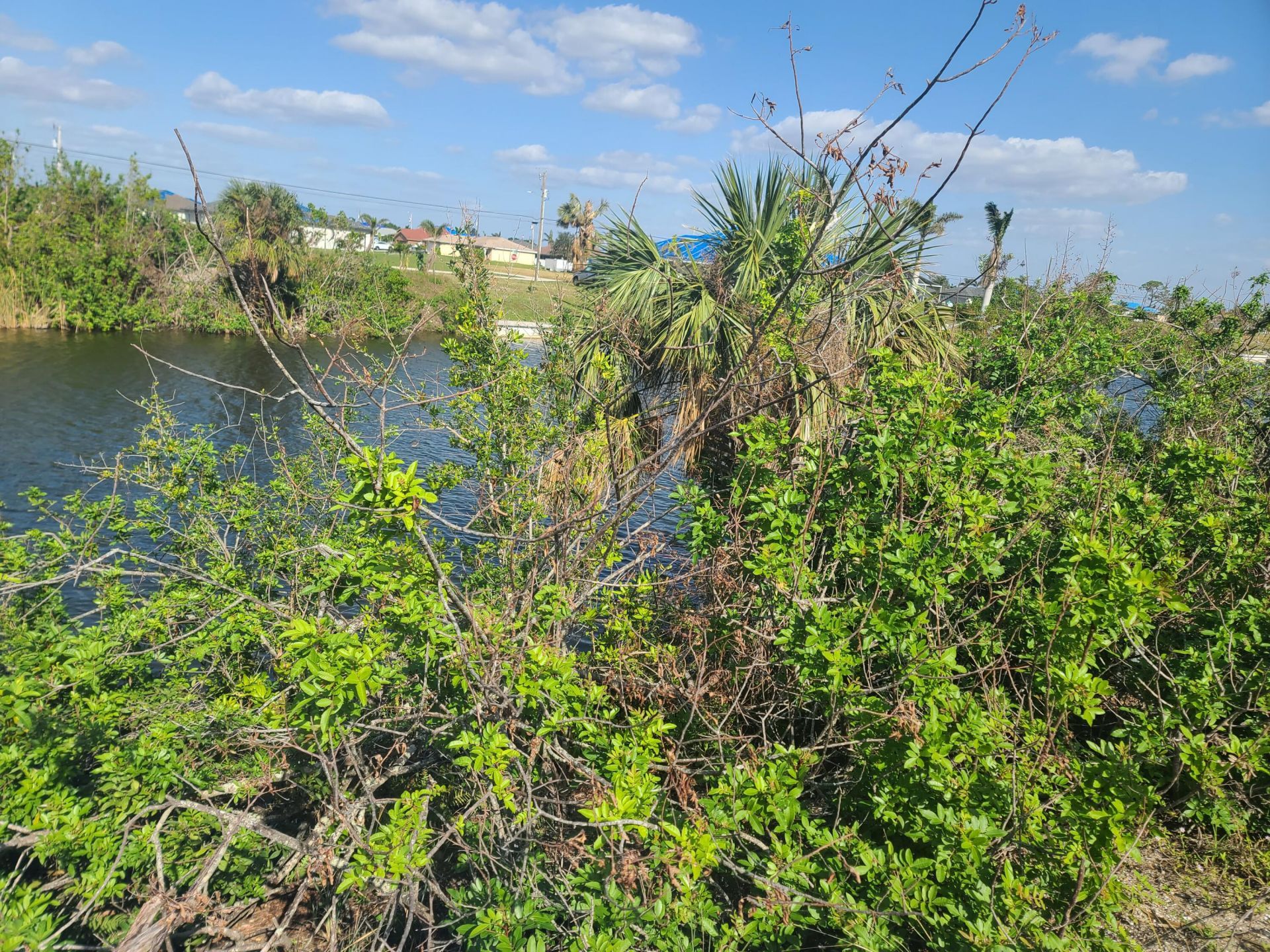 725 NW 8th Terrace, Cape Coral, FL 33993 Photo