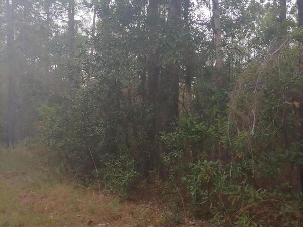 E Marion Street, Bay Saint Louis, MS 39520