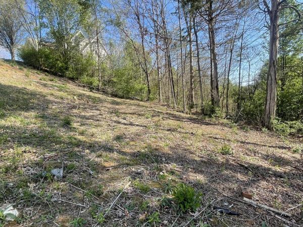 1948 Winter Winds Lane, Knoxville, TN 37909