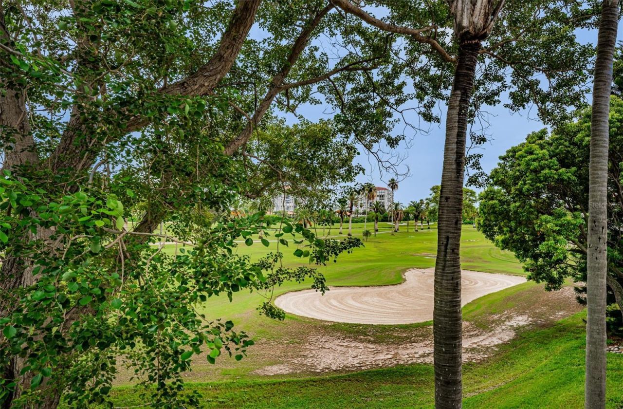 6077 Bahia Del Mar Boulevard, Unit 224, Saint Petersburg, FL 33715 Photo