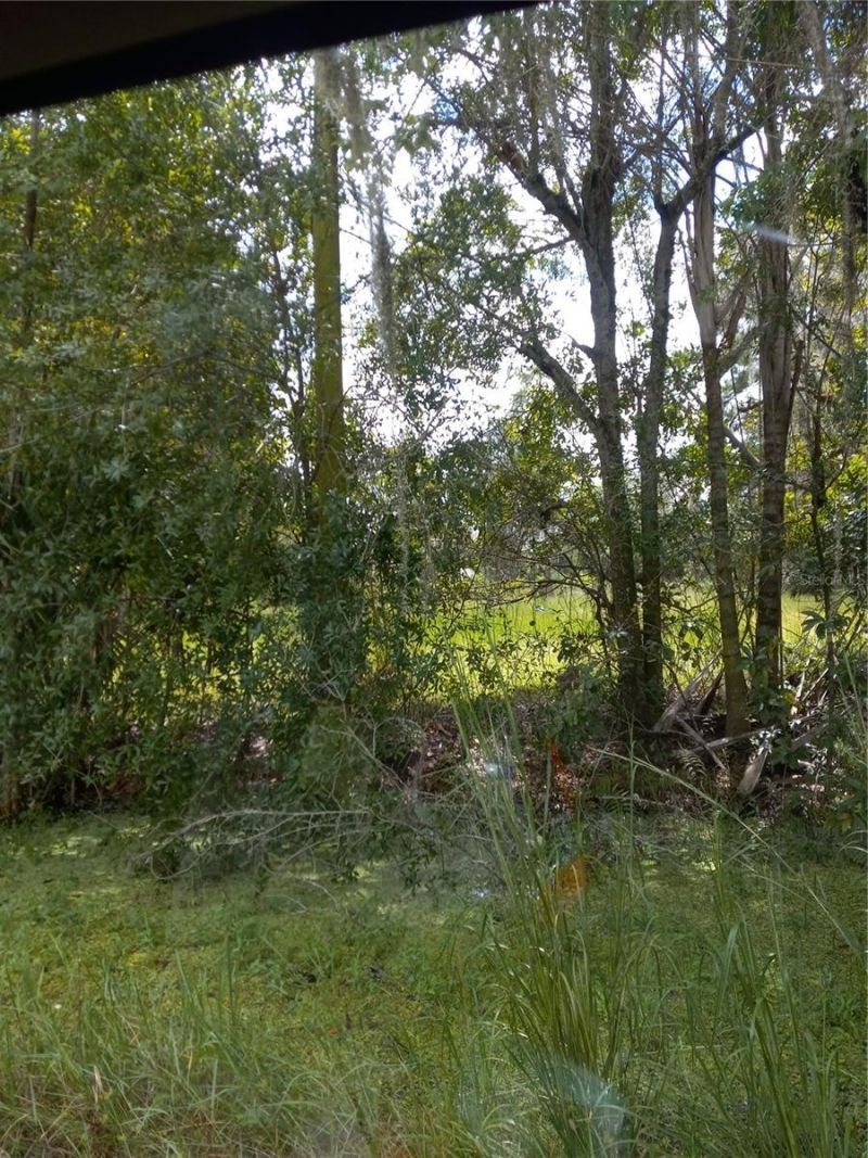 2902 W Lutz Lake Fern Road, Lutz, FL 33558 Photo