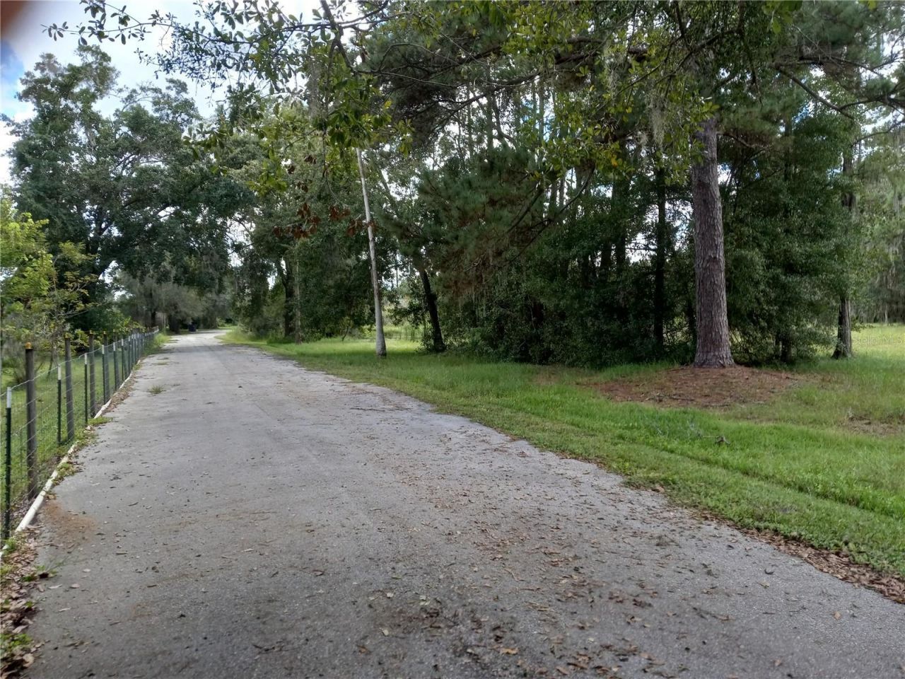 2902 W Lutz Lake Fern Road, Lutz, FL 33558 Photo