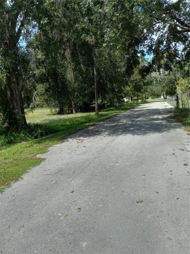 2902 W Lutz Lake Fern Road, Lutz, FL 33558 Photo