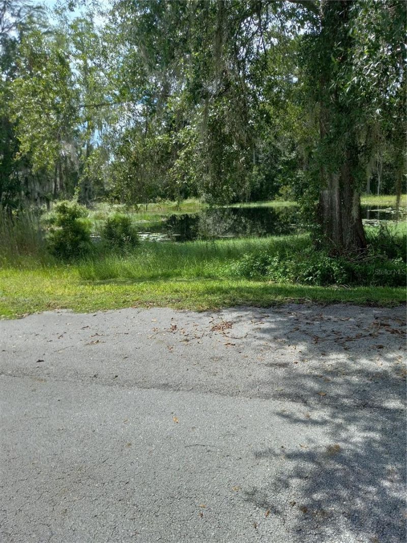 2902 W Lutz Lake Fern Road, Lutz, FL 33558 Photo