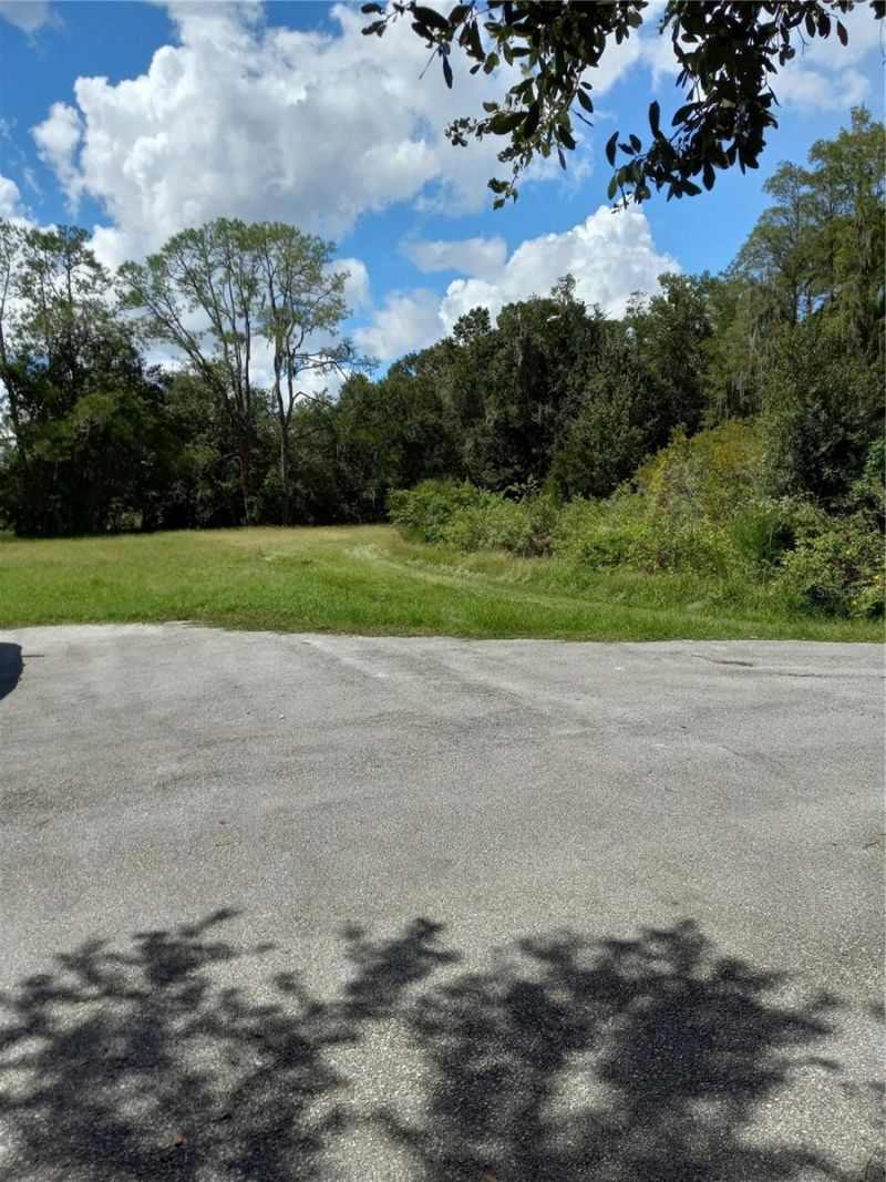 2902 W Lutz Lake Fern Road, Lutz, FL 33558 Photo
