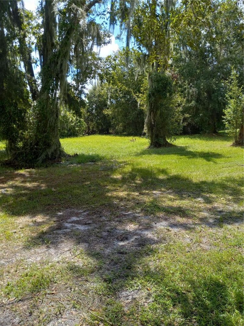 2902 W Lutz Lake Fern Road, Lutz, FL 33558 Photo