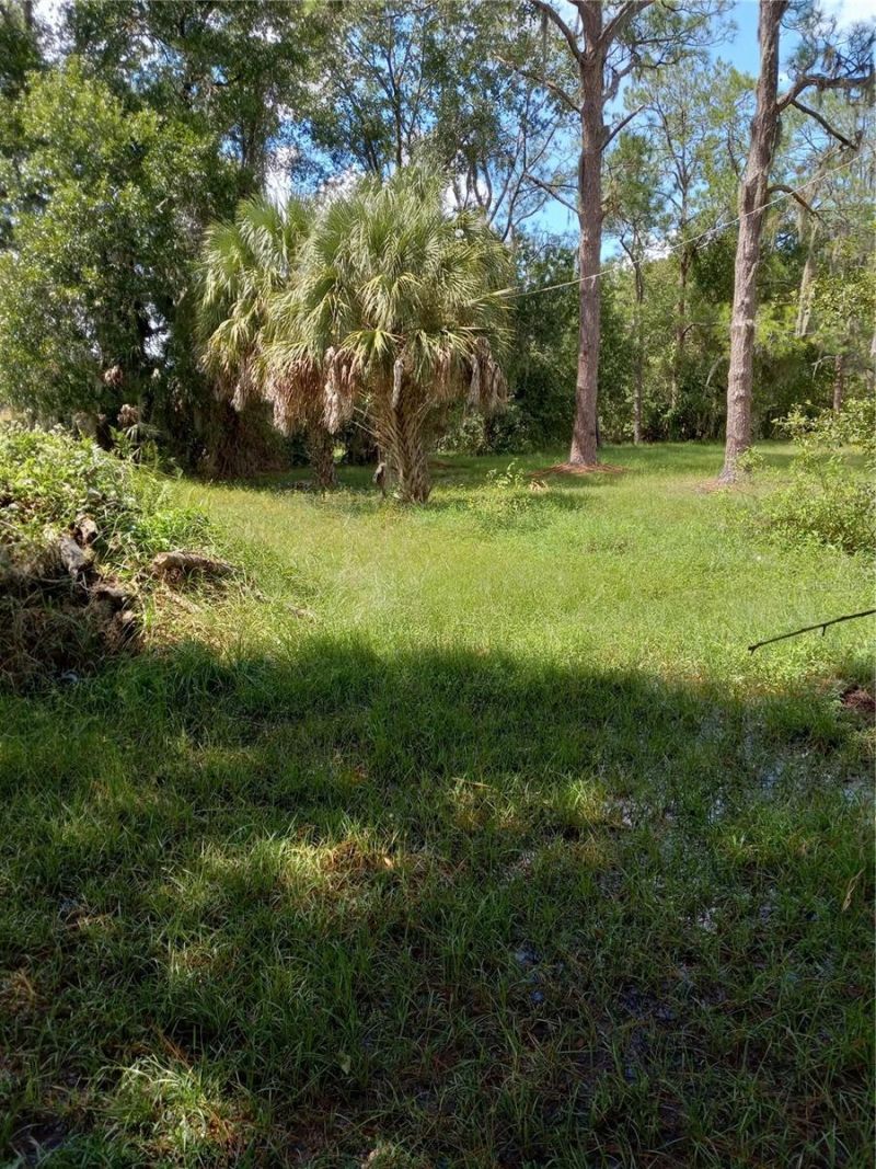 2902 W Lutz Lake Fern Road, Lutz, FL 33558 Photo