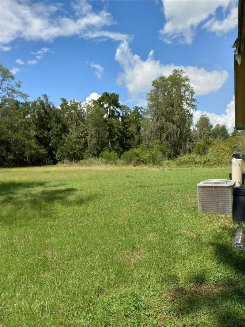 2902 W Lutz Lake Fern Road, Lutz, FL 33558 Photo