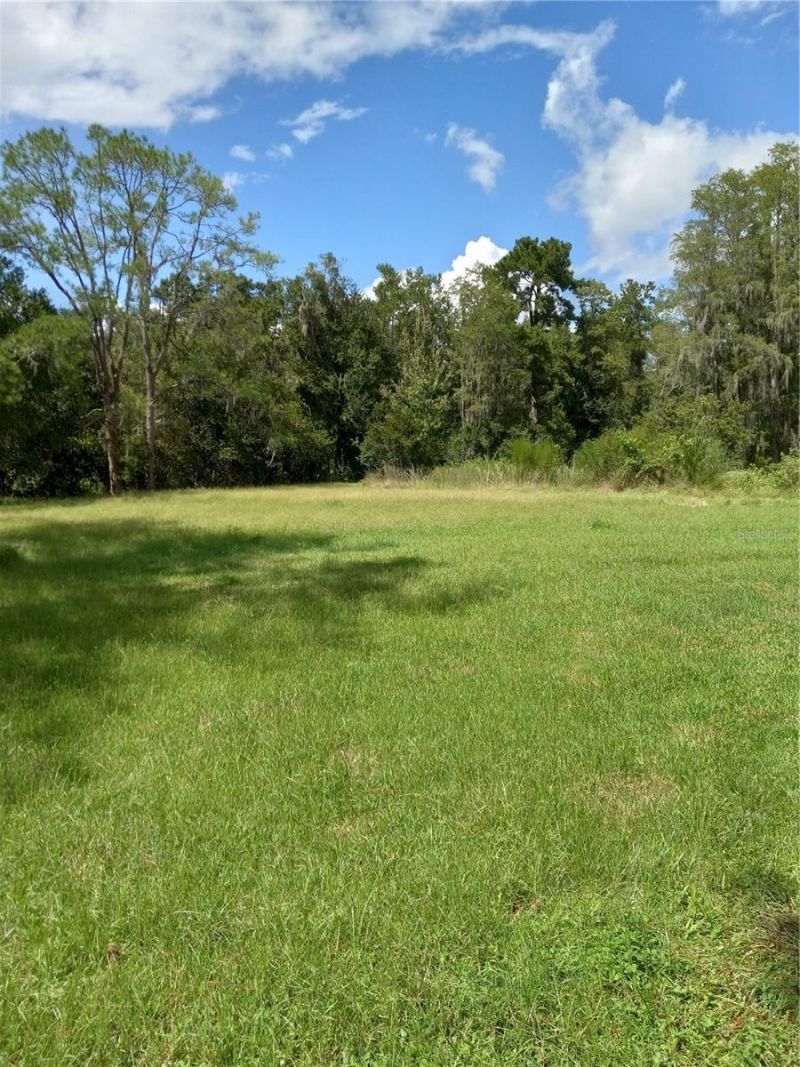 2902 W Lutz Lake Fern Road, Lutz, FL 33558 Photo