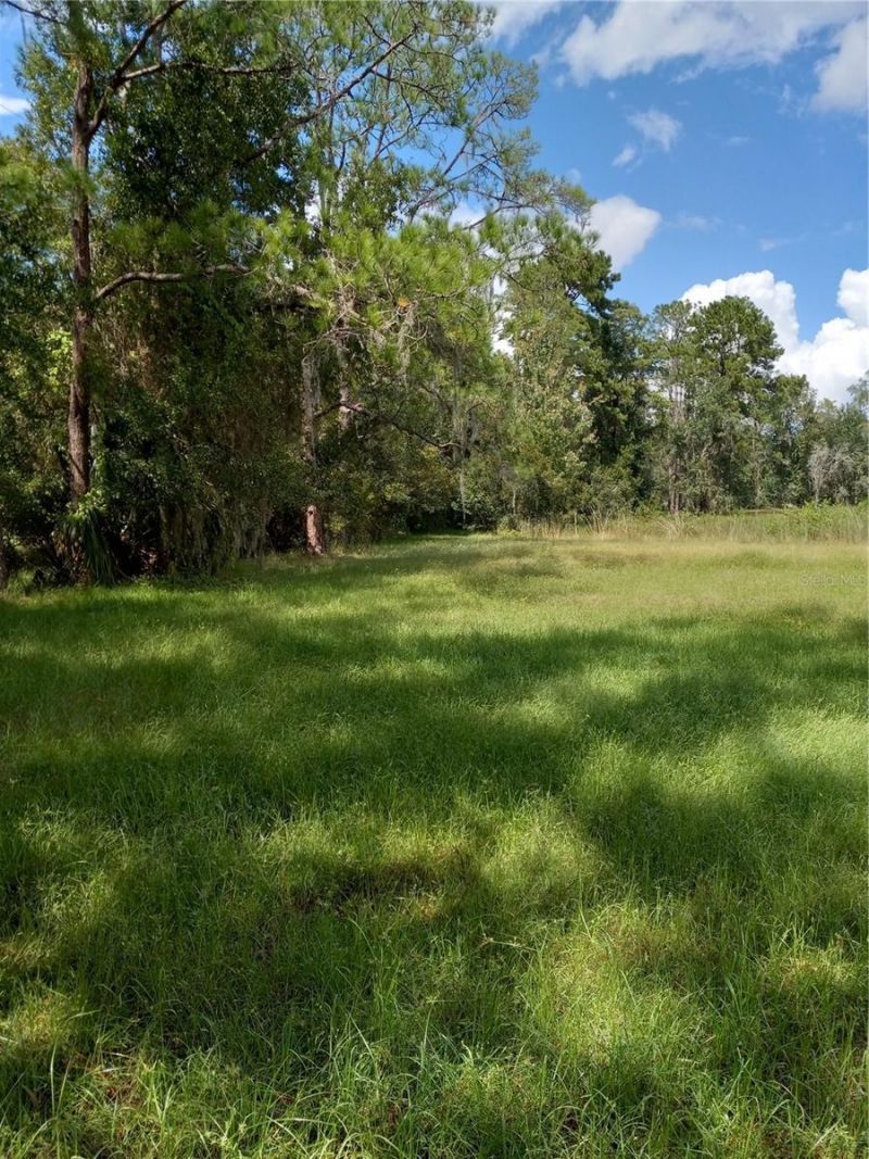 2902 W Lutz Lake Fern Road, Lutz, FL 33558 Photo