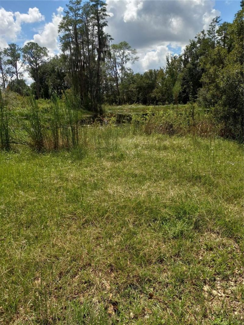 2902 W Lutz Lake Fern Road, Lutz, FL 33558 Photo