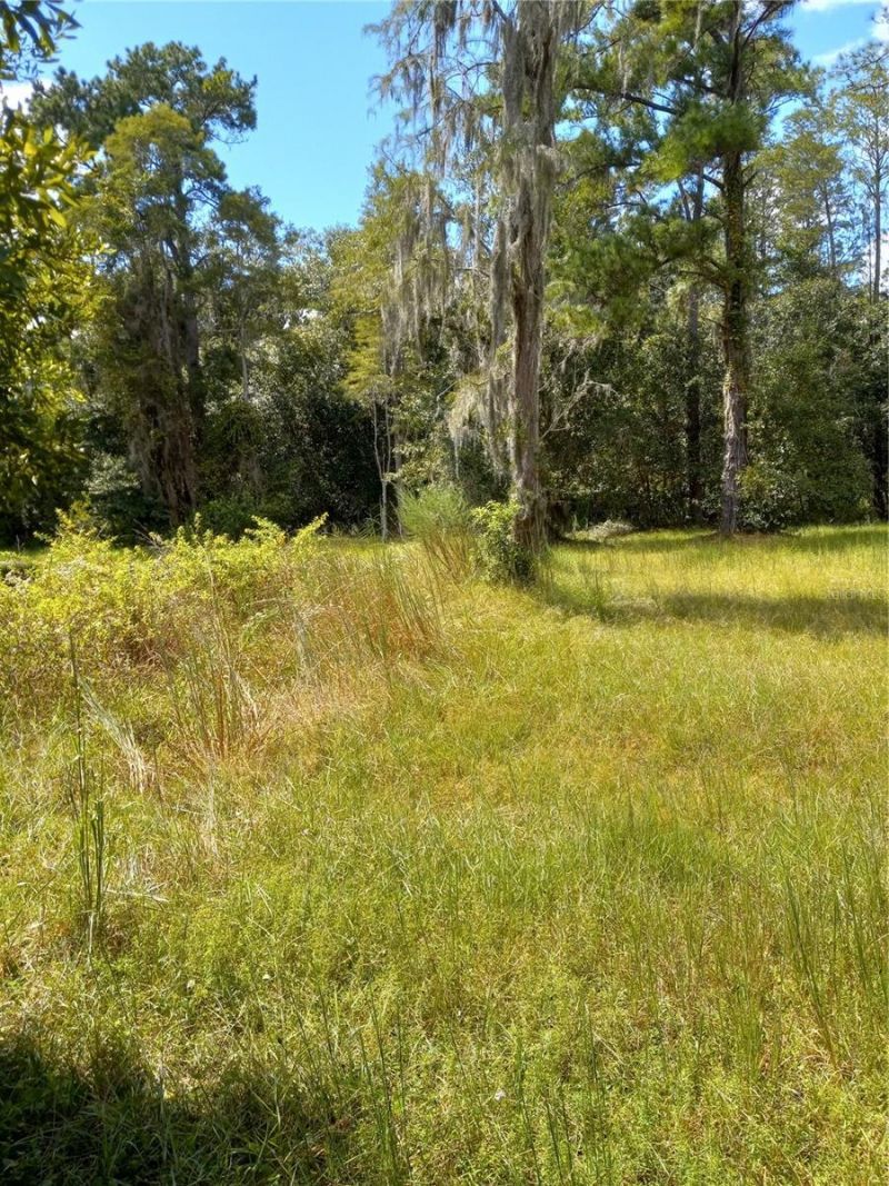 2902 W Lutz Lake Fern Road, Lutz, FL 33558 Photo