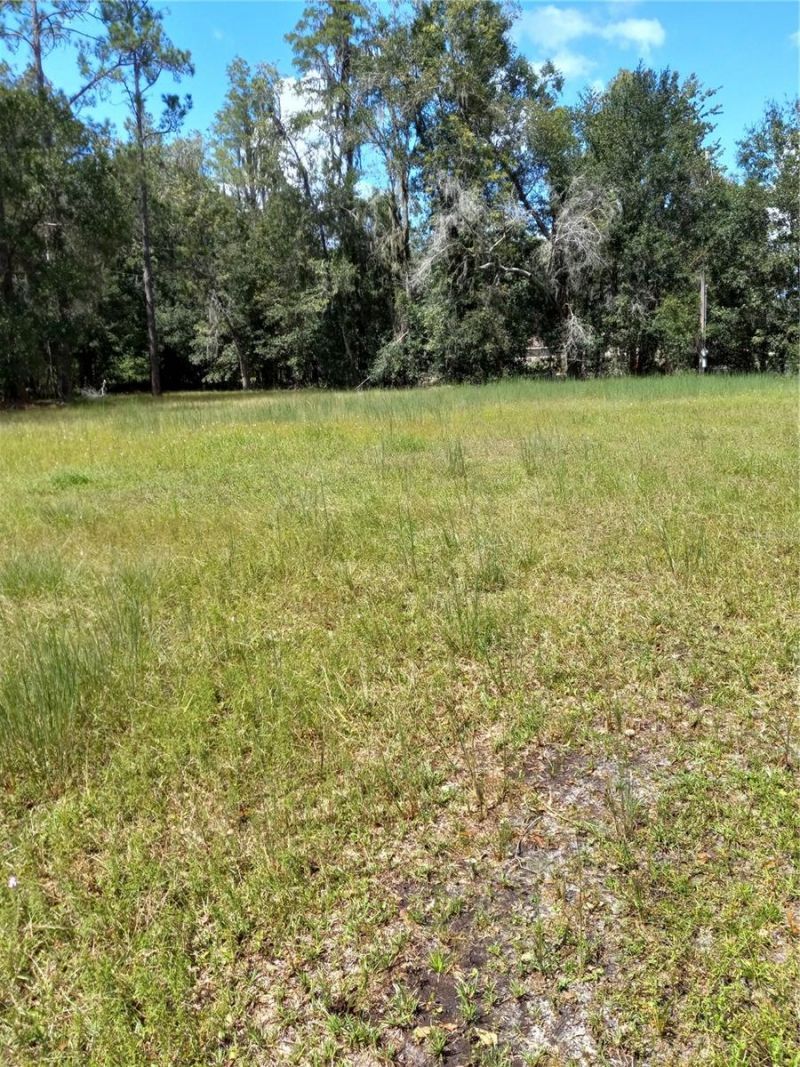 2902 W Lutz Lake Fern Road, Lutz, FL 33558 Photo