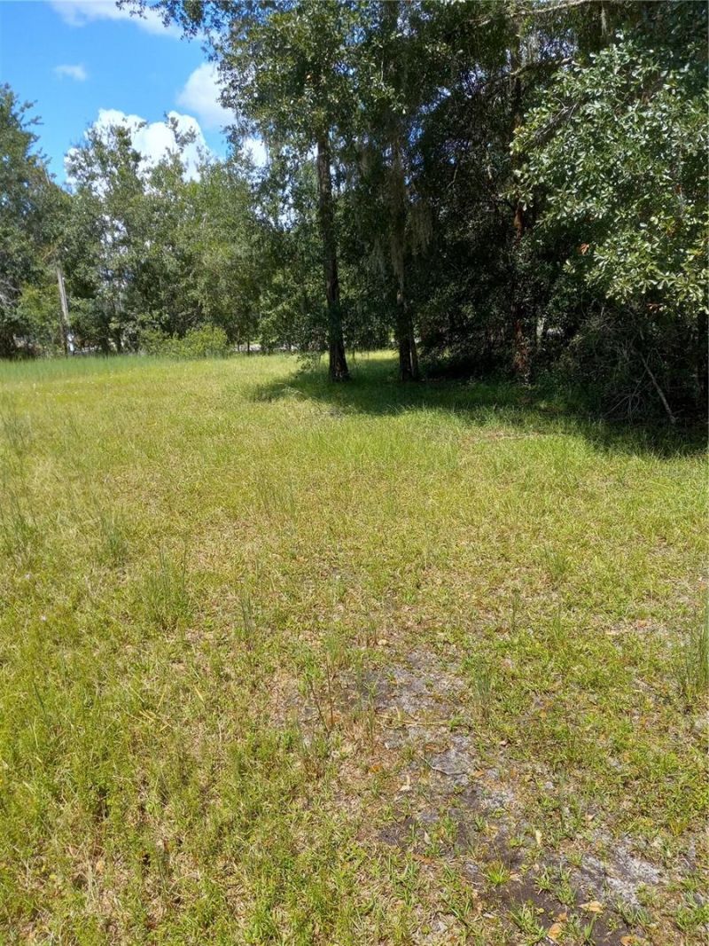 2902 W Lutz Lake Fern Road, Lutz, FL 33558 Photo